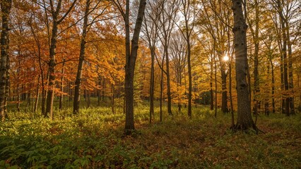 Fototapeta premium Vibrant fall scenery in a lush forest setting