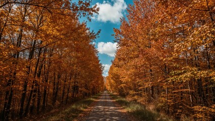 Fototapeta premium Walking amidst autumn trees