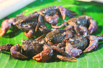 Fermented rice field crabs placed on banana leaves at a Thai street food stall. Key ingredient in spicy papaya salad, popular with locals and food-loving tourists.