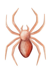 Watercolor spiderwebs in a pink Halloween theme