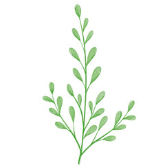 Watercolor cute leaves illustration.