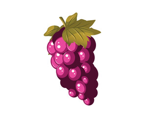 red grapes with leaves vector illustrations