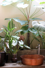 Indoor tropical garden bathroom with lush green plants, a rustic copper sink, and a modern faucet. Natural light creates a serene, spa-like atmosphere. Perfect for eco-living and interior themes.