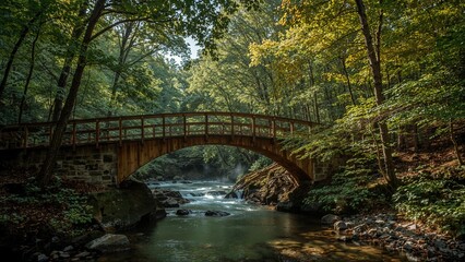 Rustic wooden pathway amid thick forest, sunlight piercing the canopy and lighting the scene