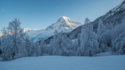 Fototapeta premium Winter landscape with snowy mountains and trees