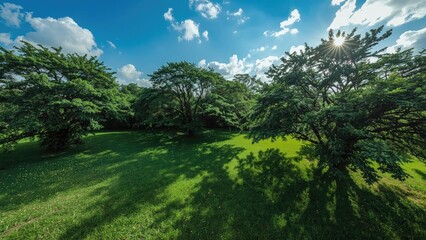 Summer garden captured by aerial drone photography