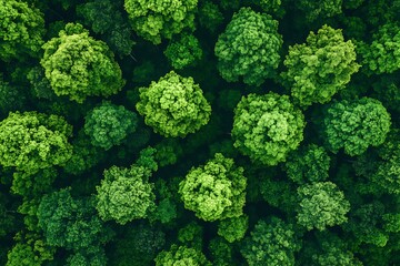 Bold Art Deco modern fusion pattern.