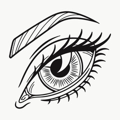 human eye vector illustration