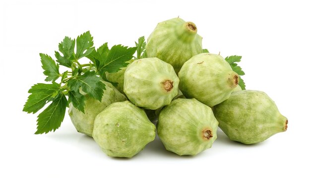 Group of whole fresh chayote vegetables isolated on white