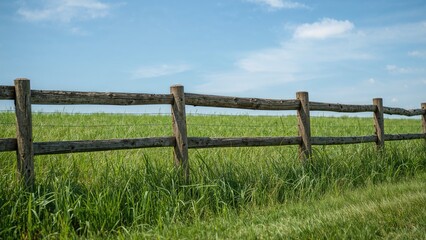 Green grassy area fenced with wooden panels