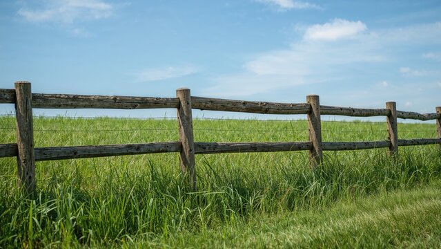 Green grassy area fenced with wooden panels