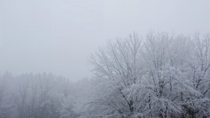 Chilly outdoor scene with frosty trees and blue sky