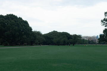 People Resting in Open Urban Park