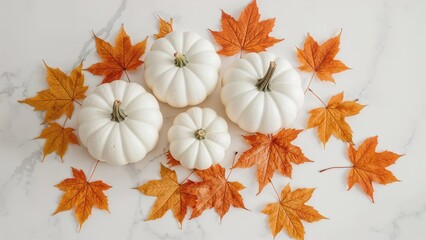 Fototapeta premium Marble background decorated with white pumpkins and bright orange maple leaves