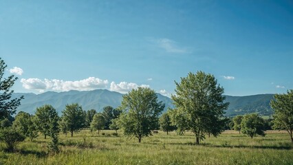 Obraz premium Countryside scenery under a clear summer sky with lush greenery and hills