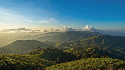 Perspective from a minor hilltop surrounded by nature
