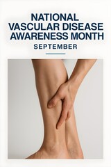 Understanding Vascular Health Can Save Your Life