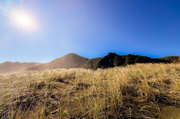 Long Japanese samurai sword katana is positioned in a windy grass field ground. Strong sunlight.