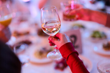 Elegant Woman Holding Wine Glass	