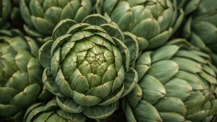 Detailed close-up of a freshly gathered garden globe artichoke, Great for promoting wholesome eating habits.