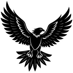 Obraz premium eagle with wings