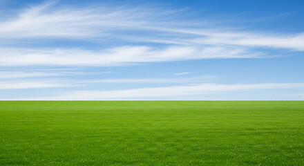 Green Grass Field with Blue Sky and White Clouds – Landscape Background for Product Display and Nature Design