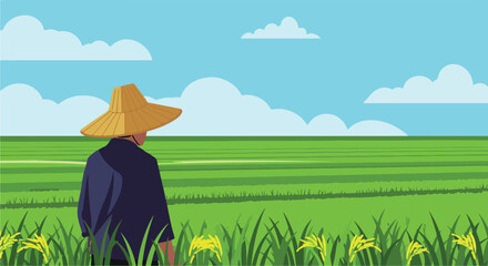 Farmer looks at rice field on a sunny day. Vector illustration for farming concepts