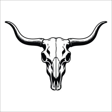 Vintage longhorn bull skull illustration in a monochrome style. Western cattle head skeleton emblem isolated on a white background.