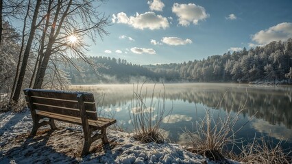 Chilly day by the lake with a frosted bench in the woods, sun glowing through the trees