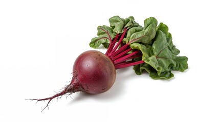 Single beet root displayed on a clean white surface