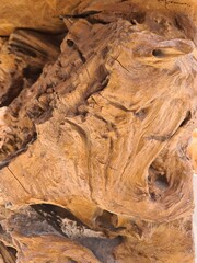 Beautiful macro shot of weathered wood texture with intricate grain patterns