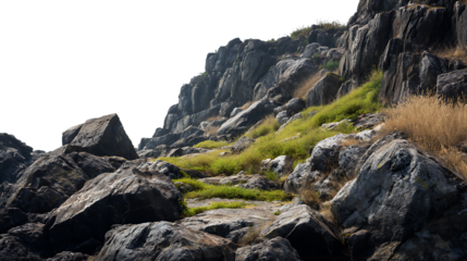 Rocky hillside with vibrant green and golden grasses.