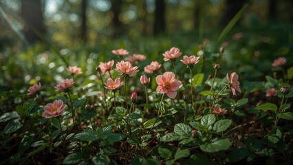 Charming floral display in a quiet outdoor environment