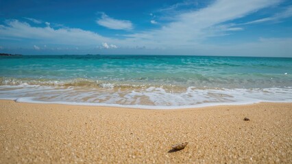 Fototapeta premium Zoomed-in Shot of a Picturesque Sandy Beach Along the Waterside