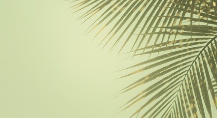 Obraz premium Palm Grace: Delicate Frond Edges on Pale Green