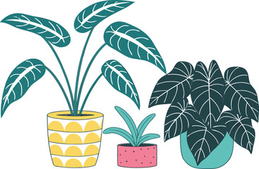 Three potted houseplants with stylized leaves isolated on transparent background