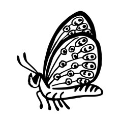 Vector illustration of butterfly in doodle style. Основные RGB