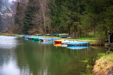 Beautiful view of calm lake with moored boats and rainforest