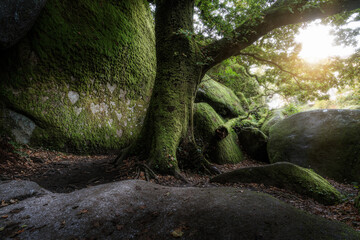 trésor de Huelgoat  © Steven