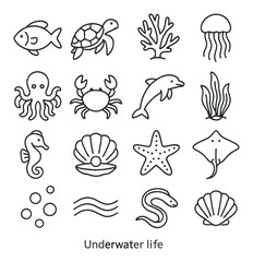 Naklejka premium Underwater life icons: fish, turtle, coral, jellyfish, octopus, crab, dolphin, seaweed