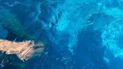 A glistening arm dances beneath azure waves, evoking dreamy aquatic serenity, perfect for World...