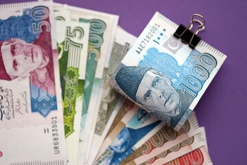 Pakistan rupees banknotes on purple background. The current Pakistan money bills