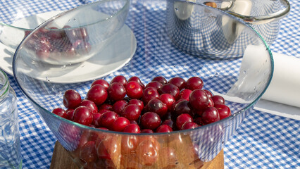 Glistening cranberries dance in glass bowls under sunlight, perfect for Samhain feasts or cranberry quirkiness on National Zipper Day