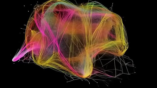 Colorful Brain Connectome: A Visualization of Neural Pathways