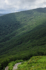 Naklejka premium Green Hills and Winding Mountain Path