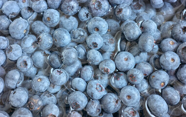 Close up photo of fresh blueberries, selective focus.