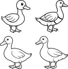 Duck drawing. It is a simple black and white outline image of a common duck standing, ready for coloring. Vector sketch line art draw.
