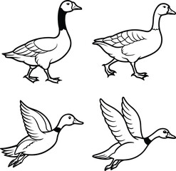 Duck drawing. It is a simple black and white outline image of a common duck standing, ready for coloring. Vector sketch line art draw.
