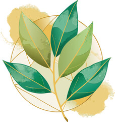 Watercolor bay leaves in desaturated green tones paired with delicate gold line art veins, set against soft cream paper-style background.