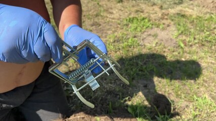 Man demonstrating galvanized steel mole trap. Close-up.